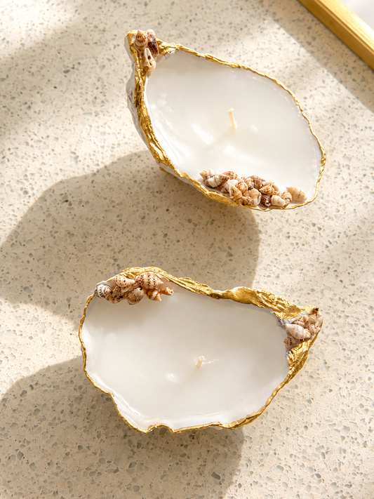 Shell Candle